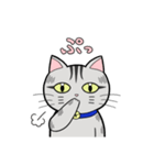 サバトラ猫と話そう（個別スタンプ：13）