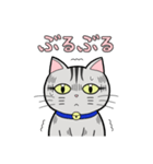 サバトラ猫と話そう（個別スタンプ：14）
