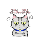 サバトラ猫と話そう（個別スタンプ：16）