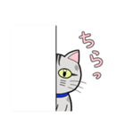 サバトラ猫と話そう（個別スタンプ：17）