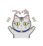 サバトラ猫と話そう（個別スタンプ：19）