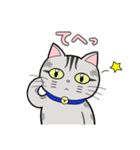 サバトラ猫と話そう（個別スタンプ：20）