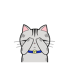 サバトラ猫と話そう（個別スタンプ：23）