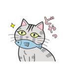 サバトラ猫と話そう（個別スタンプ：24）