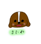 キャバリアのショートくん（個別スタンプ：8）
