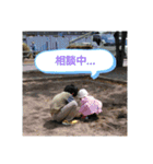 うちのこころさん。1（個別スタンプ：12）