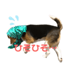 まろん's すたんぷ（個別スタンプ：2）