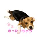 まろん's すたんぷ（個別スタンプ：3）