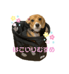 まろん's すたんぷ（個別スタンプ：5）