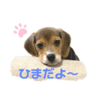 まろん's すたんぷ（個別スタンプ：7）