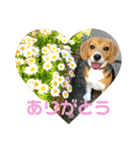 まろん's すたんぷ（個別スタンプ：10）