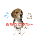 まろん's すたんぷ（個別スタンプ：12）