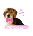 まろん's すたんぷ（個別スタンプ：14）