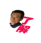 鶴見さんの栃木弁講座（個別スタンプ：8）