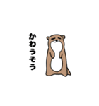 ちゃんあゆあにまるず（個別スタンプ：11）