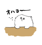 もけねこ1 （日常編）（個別スタンプ：1）