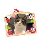 猫の気持ち 猫の奈留さん 第2.弾（個別スタンプ：40）