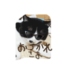 善太郎パラダイス2（個別スタンプ：6）