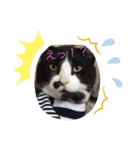 善太郎パラダイス2（個別スタンプ：8）