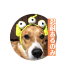 モコしろ参上〜モコちゃん編（個別スタンプ：6）