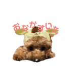 またんのこむぅぎ（個別スタンプ：3）