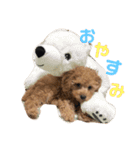 またんのこむぅぎ（個別スタンプ：8）