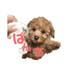 またんのこむぅぎ（個別スタンプ：13）