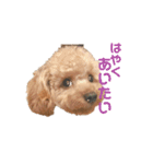 またんのこむぅぎ（個別スタンプ：14）