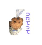 またんのこむぅぎ（個別スタンプ：17）