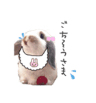 ロップイヤーの仲間たち（個別スタンプ：32）