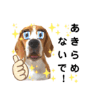 ビーグル犬ほたる④（個別スタンプ：23）