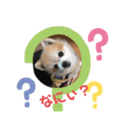 ポメライムくんの日常（個別スタンプ：5）