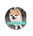 ポメライムくんの日常（個別スタンプ：8）