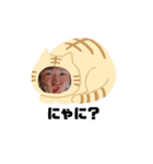 にゃあのムニムニしりーぜ（個別スタンプ：5）