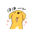 雑種といっしょ2（個別スタンプ：1）