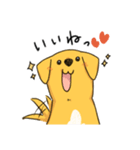 雑種といっしょ2（個別スタンプ：2）