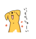 雑種といっしょ2（個別スタンプ：4）