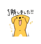 雑種といっしょ2（個別スタンプ：11）