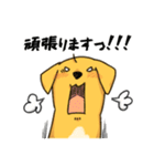 雑種といっしょ2（個別スタンプ：13）