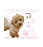 ミリペファミリー（個別スタンプ：5）