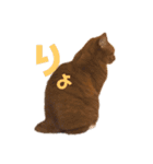 ねこっちゃまの日常（個別スタンプ：25）