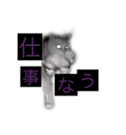 ねこっちゃまの日常（個別スタンプ：27）