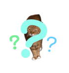 ねこっちゃまの日常（個別スタンプ：28）