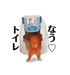 ねこっちゃまの日常（個別スタンプ：31）
