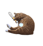 ねこっちゃまの日常（個別スタンプ：39）