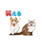 良い いぬとねこ（個別スタンプ：10）