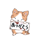 にゃん言。（個別スタンプ：1）