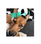POLOちゃん（個別スタンプ：4）