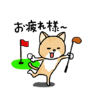 猫ゴルファー日常用 挨拶＆ラウンドお誘い（個別スタンプ：6）