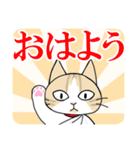 マイケル先生のLINEスタンプ（個別スタンプ：9）